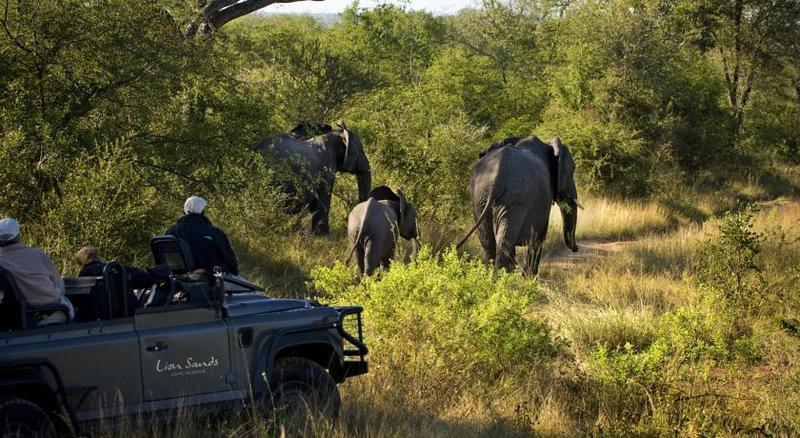 Lion Sands River Lodge Sabi Sand Game Reserve Buitenkant foto