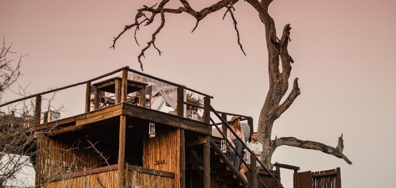 Lion Sands River Lodge Sabi Sand Game Reserve Buitenkant foto
